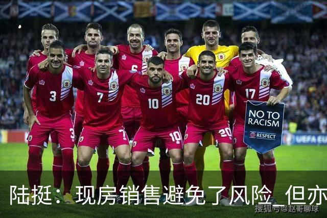 陆挺：现房销售避免了风险 但亦存在现实问题